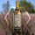 Heide Met 0,73l 10%vol