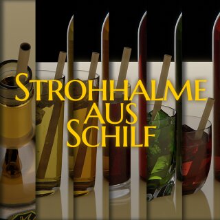 Trinkhalme aus Schilf 10-er Pack