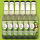 Sixpack Green Tea Fizz 6 x 0,33l