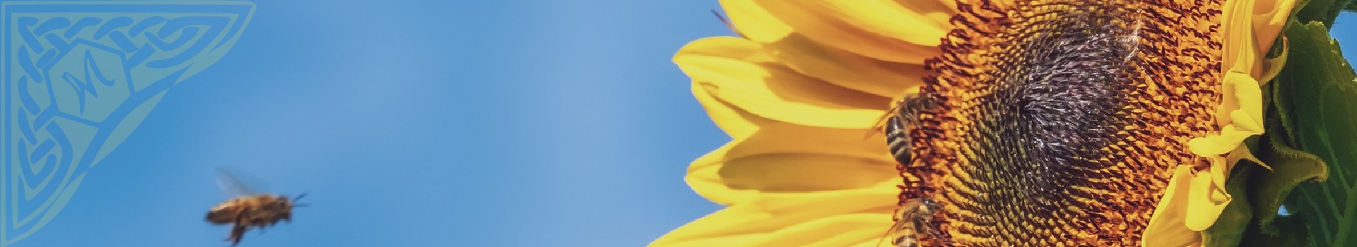 Summer Sale